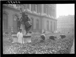 Ravitaillement de Paris, été 1943. Coll. MRN –  fonds dit du Matin.